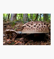 Cap Photographic Print