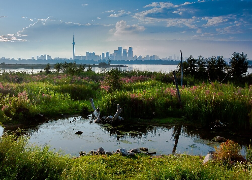 Toronto Skyline From Tommy Thompson Park By Brian Carson Redbubble