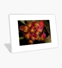Grevillea polybractea Laptop Skin