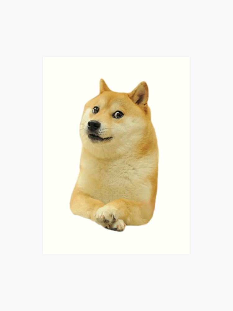 doge