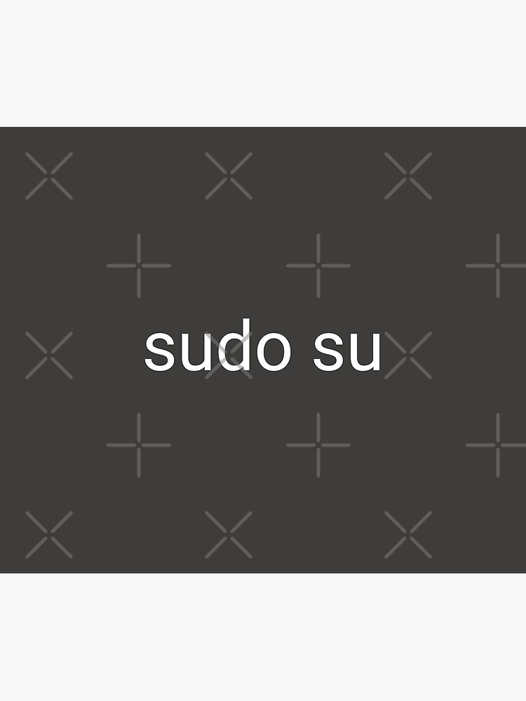 sudo su command by willpate