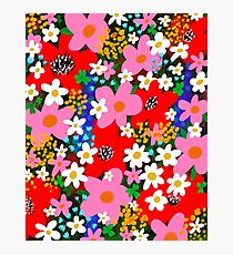 Flower Power! Photographic Print