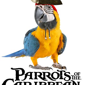 Tropical Parrot Bird Animal Adult Costume
