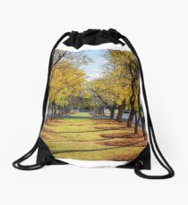 Wentworth Streetscape Drawstring Bag