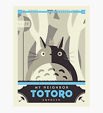 Lámina fotográfica Mi vecino Totoro
