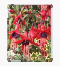 Hanging Basket iPad Case/Skin