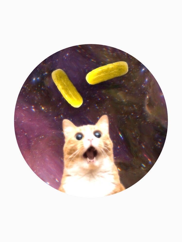 Pickle Cat by dhot