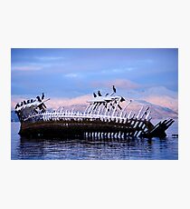 Shipwreck at the arctic coast Photographic Print