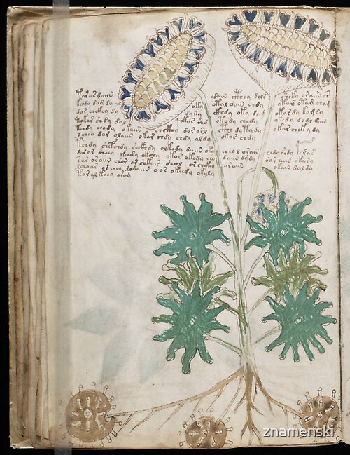 	Voynich Manuscript. Illustrated codex hand-written in an unknown writing systemShop all products	