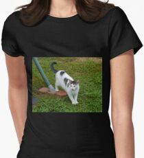 I Guess I Have A New Cat?! Women's Fitted T-Shirt
