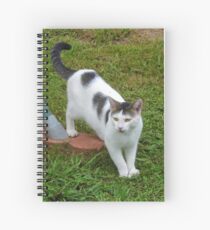 I Guess I Have A New Cat?! Spiral Notebook