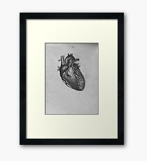 Anatomical Heart Framed Print