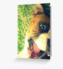 Happy Boxer Greeting Card