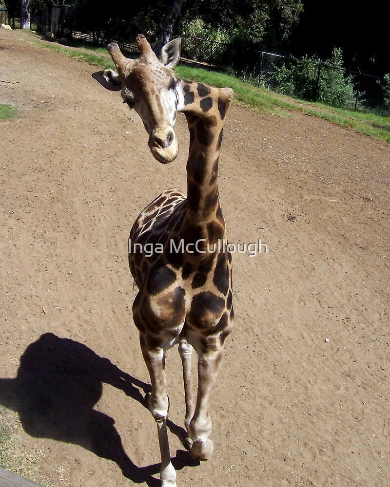 "Giraffe with crooked neck" by Inga McCullough | Redbubble