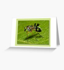 super fly Greeting Card