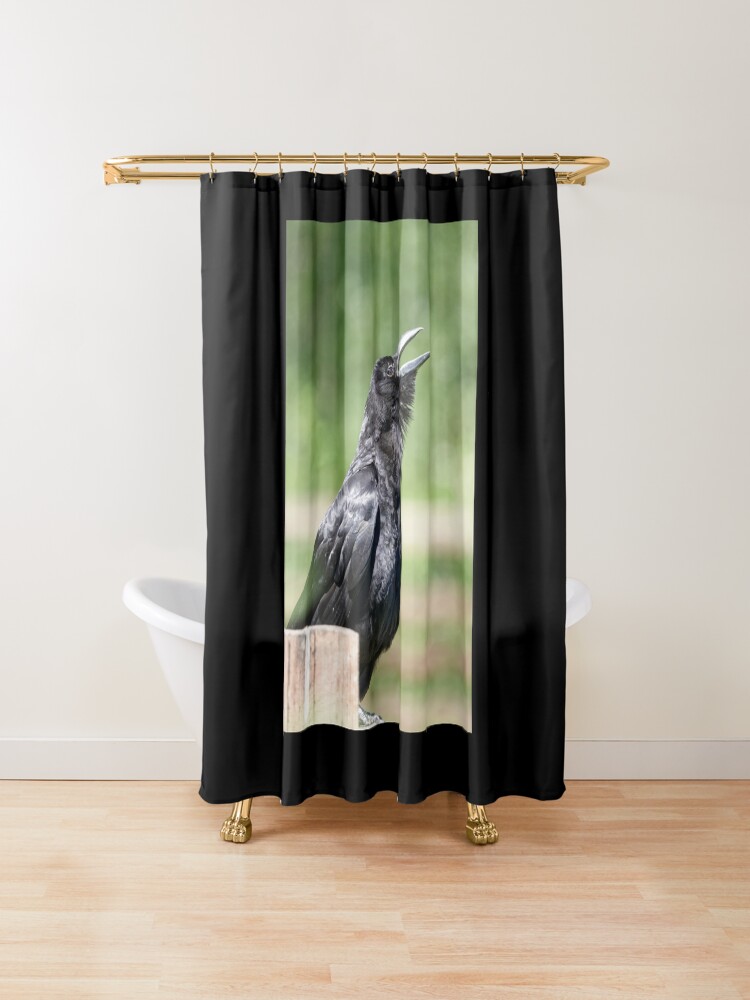 "Crow sunbathing" Shower Curtain by sdymchenko Redbubble