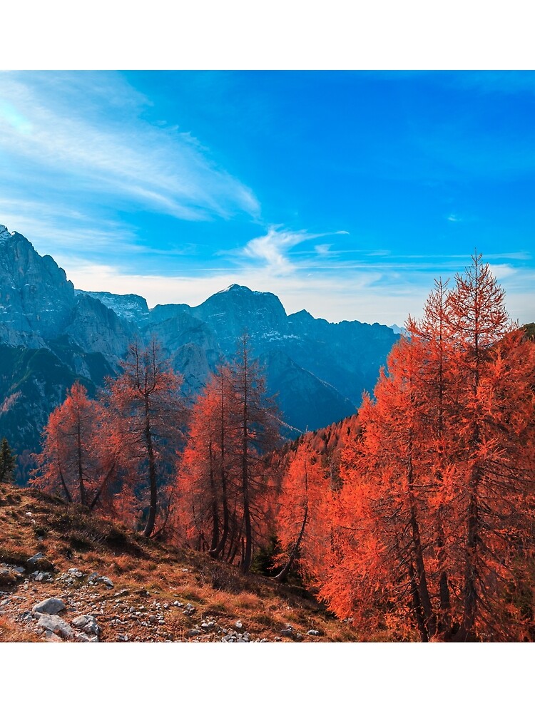 Cloudy autumn day in the italian alps by zakaz86
