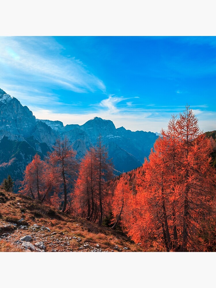 Cloudy autumn day in the italian alps by zakaz86