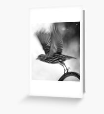 "On My Tippy-Toes'"... Greeting Card