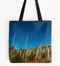 View from Clingmans Dome! Tote Bag