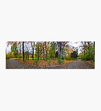 PrueĂŸen Park im Herbst Photographic Print