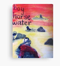 boy horse water Metal Print