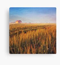 sunrise over misty wheat field Canvas Print