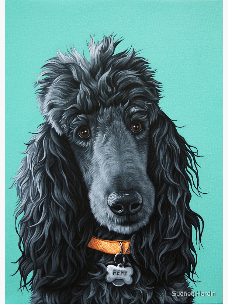 "Beautiful Black Standard Poodle Portrait, Poodle Painting Dog Art