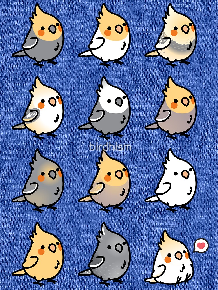 Chubby Cockatiel Collection by birdhism