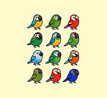 Scarlet Macaw Coasters Redbubble