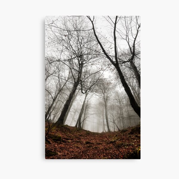 Neuronal Canvas Print