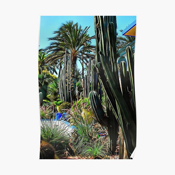 Giant Cacti Jardin Majorelle Poster