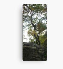 From Earth to Sky Canvas Print