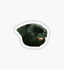 Pug Pup Sticker