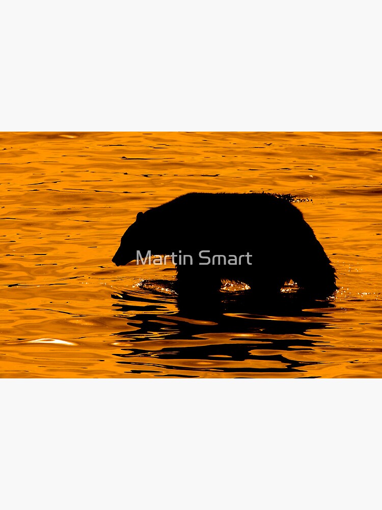 Returning Home by MartinSmart
