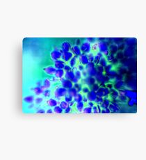 Blue Flowers Canvas Print
