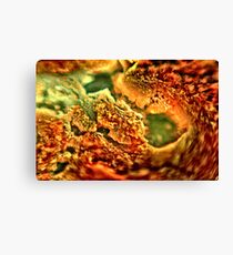 Red And Green Canvas Print