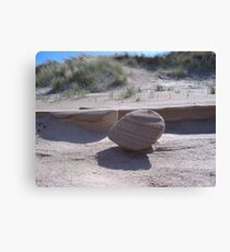 Carved Canvas Print