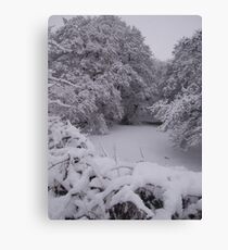 The frozen pond Canvas Print