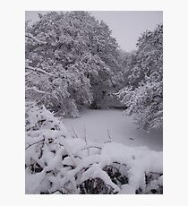 The frozen pond Photographic Print