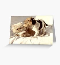 What on EARTH makes you think I want to be your friend? Greeting Card