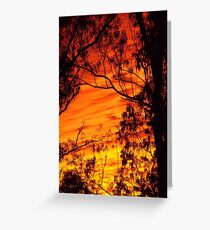 TigerSky Greeting Card