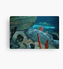 Sydney Aquarium Canvas Print
