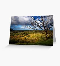 Swampland Greeting Card