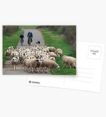 Bringing Them In For the Night Postcards