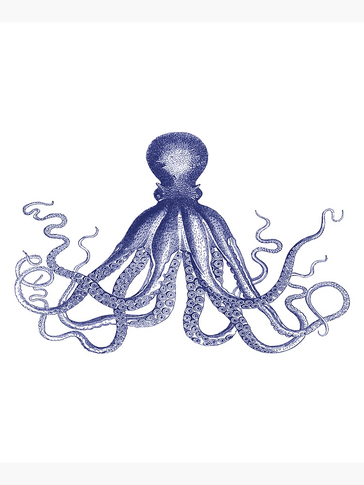 Krake | Weinlese-Krake | Tentakeln | Meeresbewohner | Nautik | Ozean | Meer | Strand | Marineblau und Weiß | von EclecticAtHeART