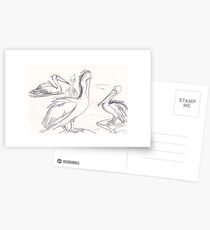 More Pelicans Postcards