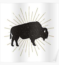 Póster bisonte