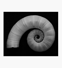 Organic form No.10 Photographic Print