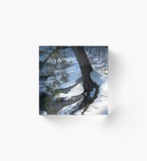 Winter Afternoon Shadows Acrylic Block